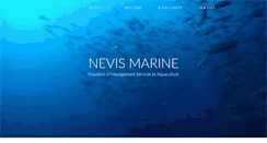 Desktop Screenshot of nevismarine.com