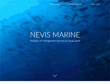 Tablet Screenshot of nevismarine.com